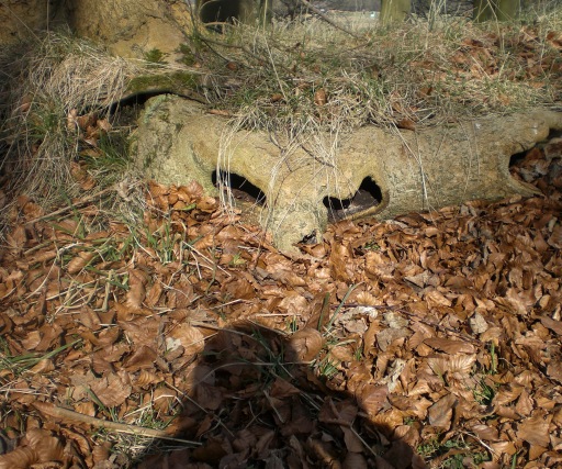 Hedgehog Guardian of the Wood